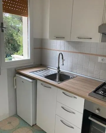 公寓式酒店 黛乐奈兹尼酒店 3*
